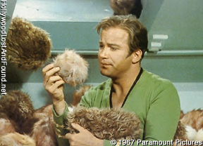 [Image: tribbles1.jpg]